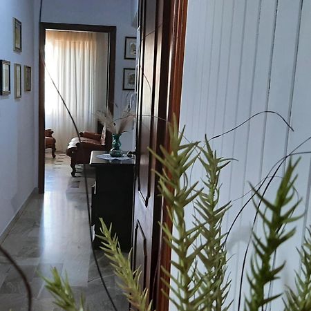 Villa Marhel 阿尔巴塔克斯 外观 照片